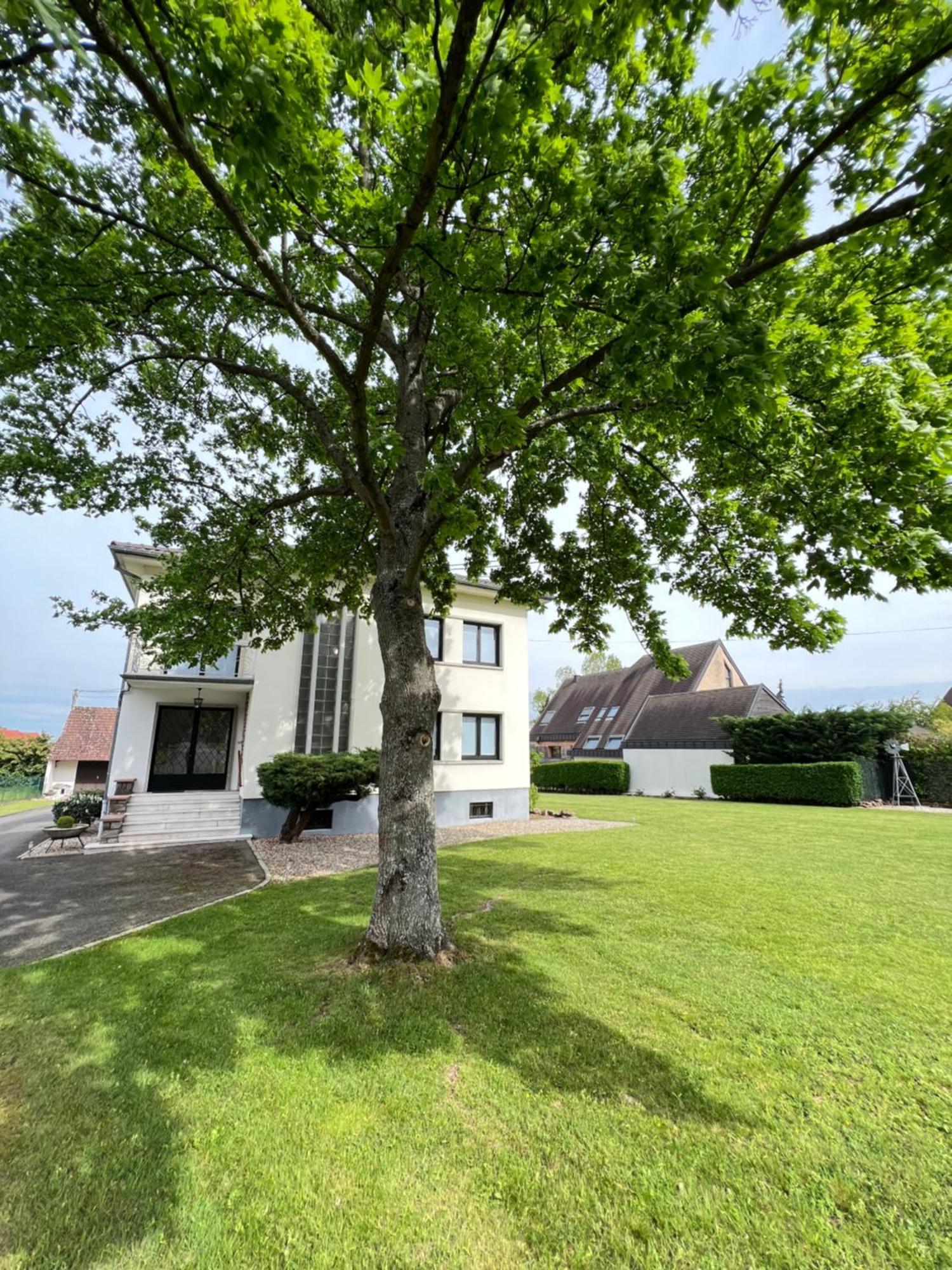 Bonne Idee - Suite Georges - Meuble De Tourisme 4 Etoiles Chatenois  Exterior photo